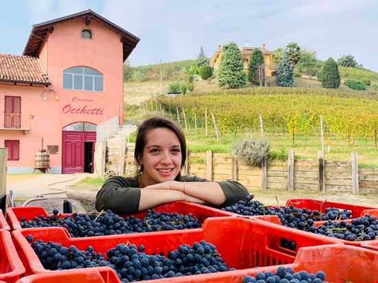 Cascina Occhetti Monteu Roero  